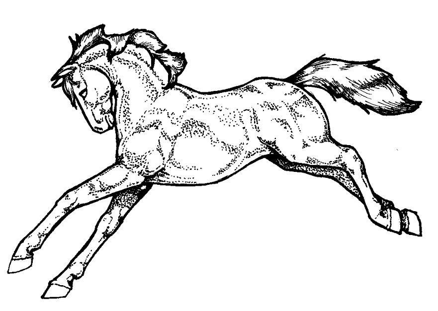 pferd Malvorlage pferd
