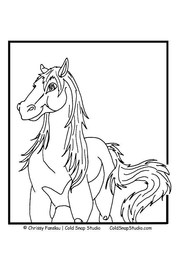 pferd Malvorlage pferd
