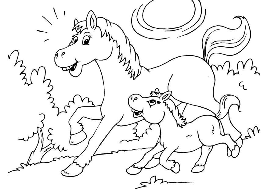 Malvorlage pferd und fohlen