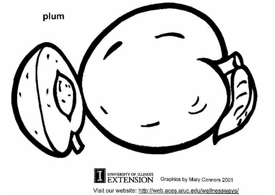 pflaume Malvorlage pflaume