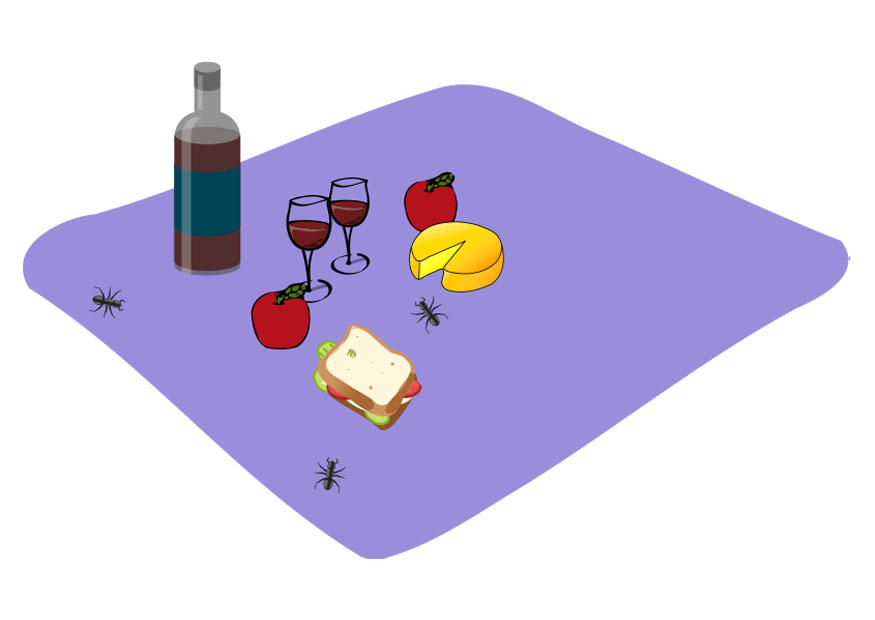 picknick Bild picknick