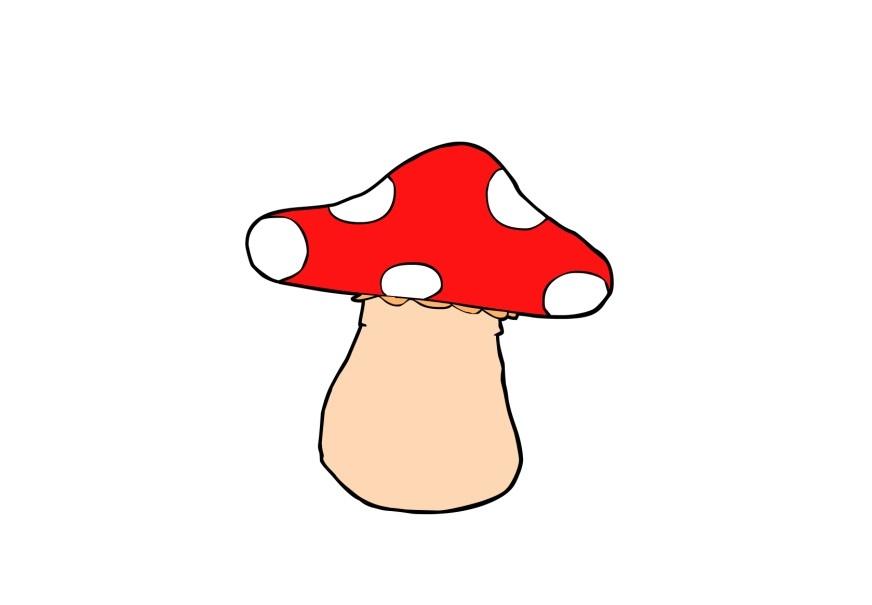 pilz Bild pilz