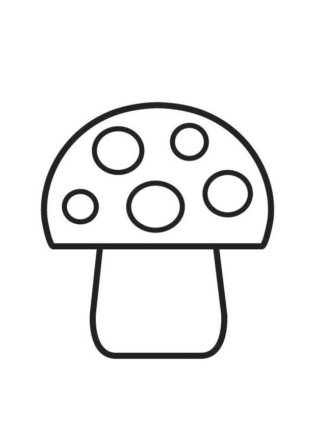 pilz mit punkten Malvorlage pilz mit punkten