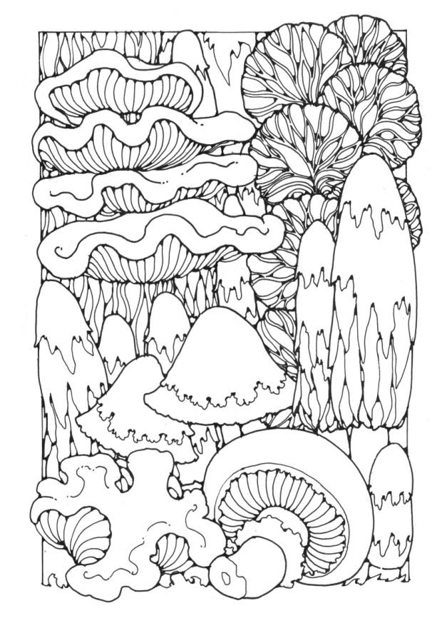 pilze Malvorlage pilze