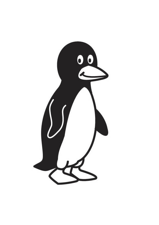 Malvorlage pinguin