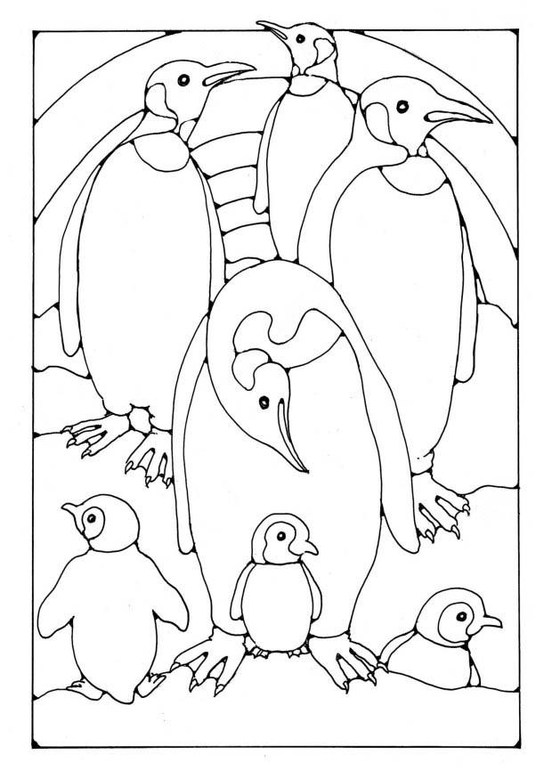 pinguine Malvorlage pinguine