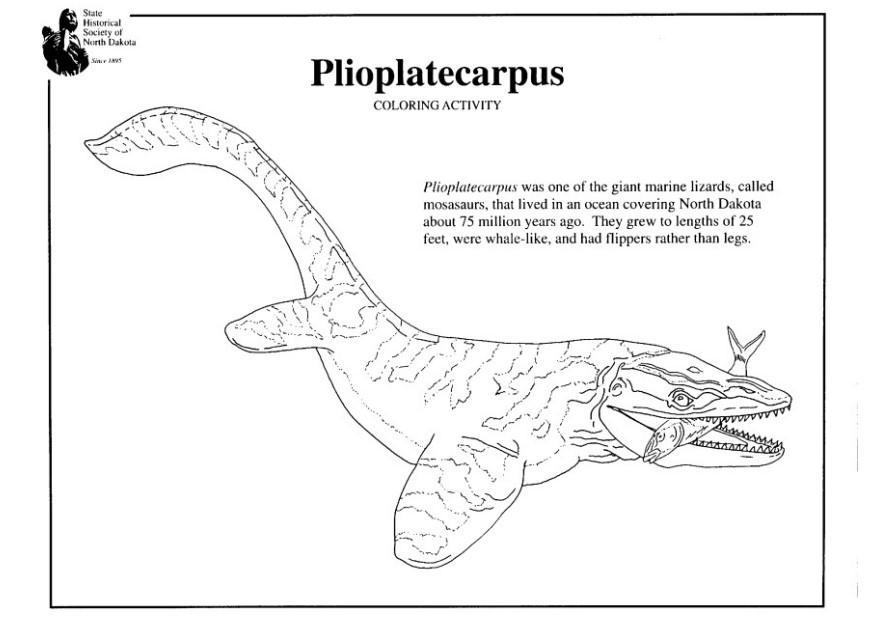 Malvorlage plioplatecarpus