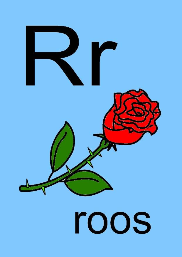 r Bild r