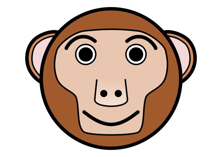 r1 - affe Bild r1 - affe