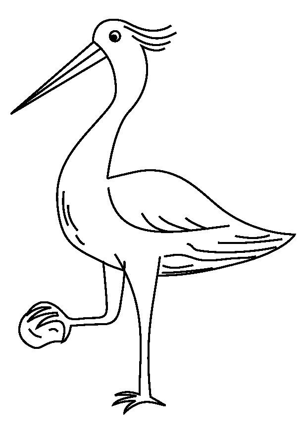 reiher Malvorlage reiher