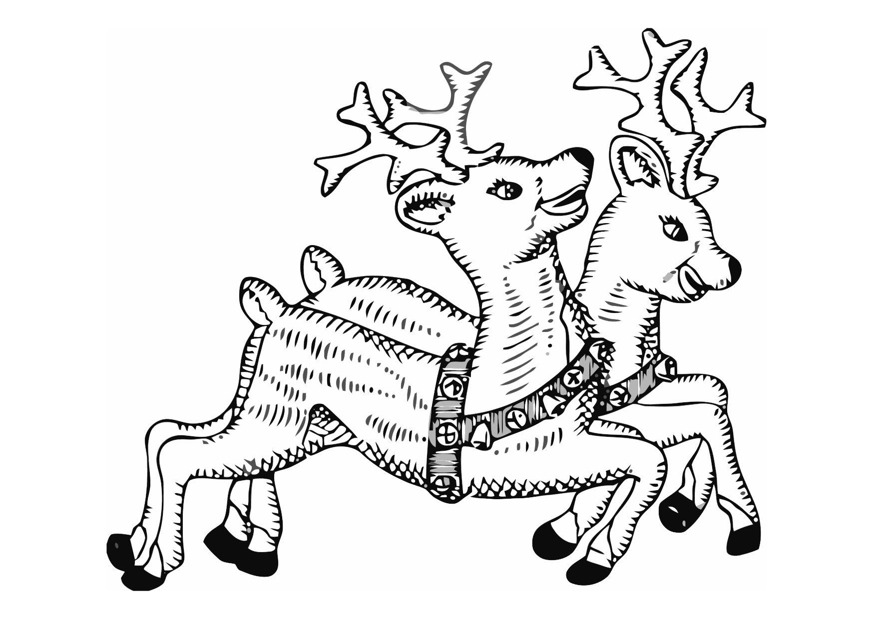Malvorlage rentiere