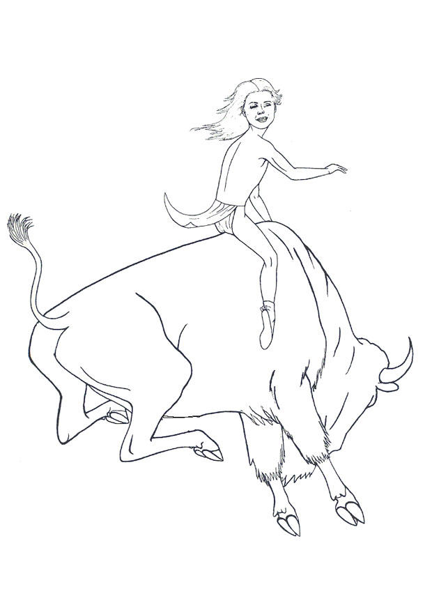 Malvorlage rodeo mit bizon
