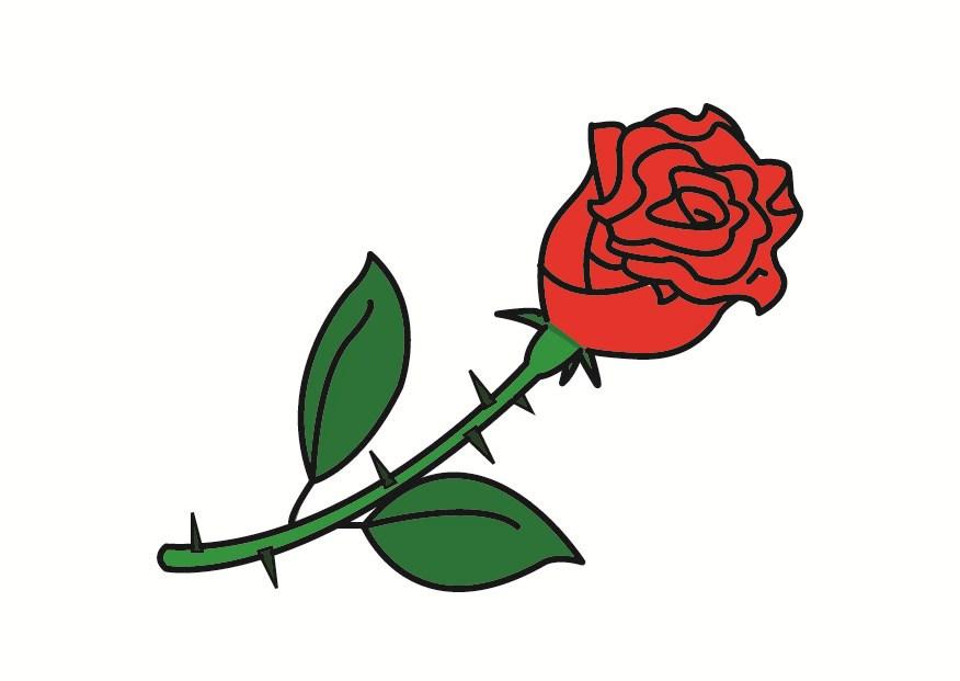 rose Bild rose