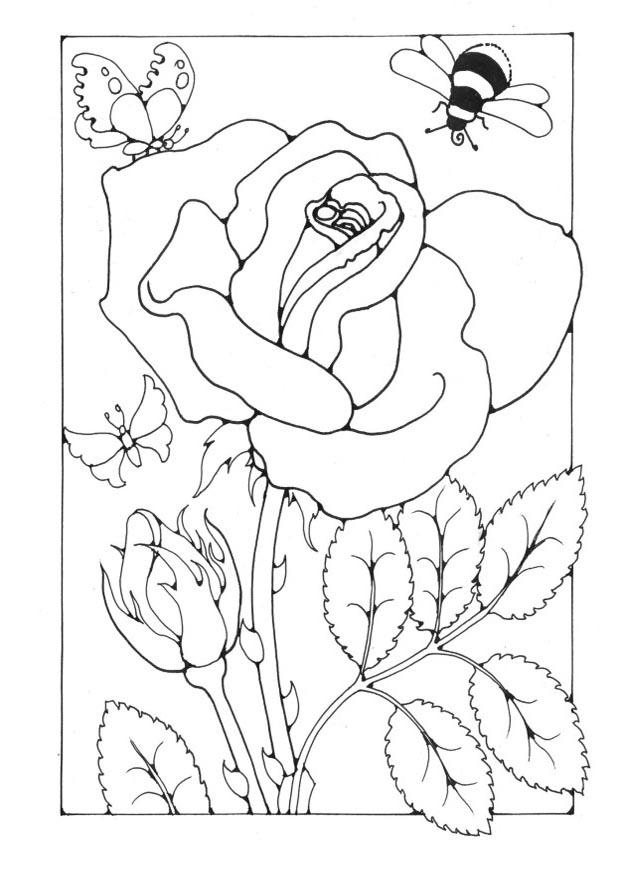 Malvorlage rose mit biene und schmetterling