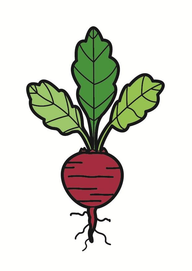 rote beete Bild rote beete