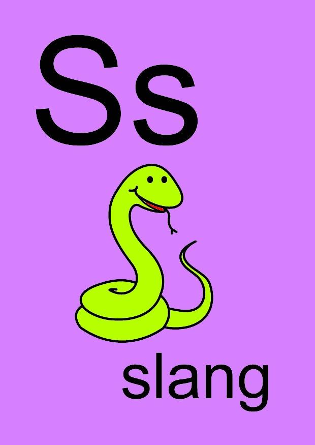 s Bild s