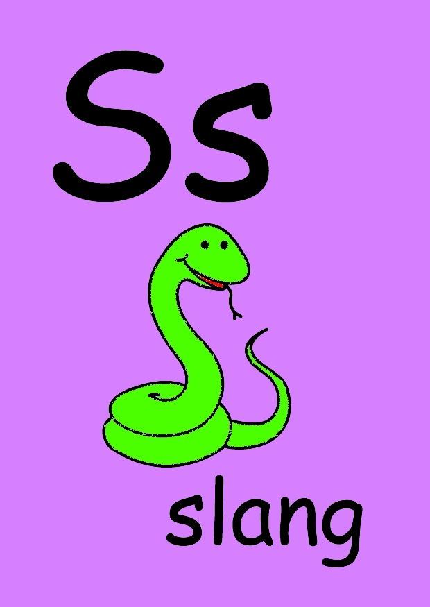 s Bild s