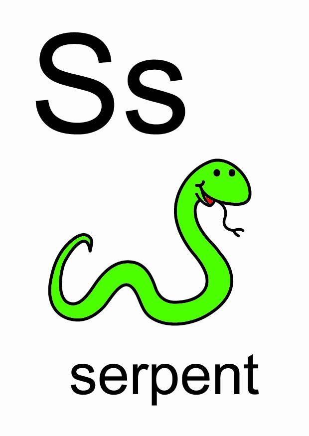 s Bild s
