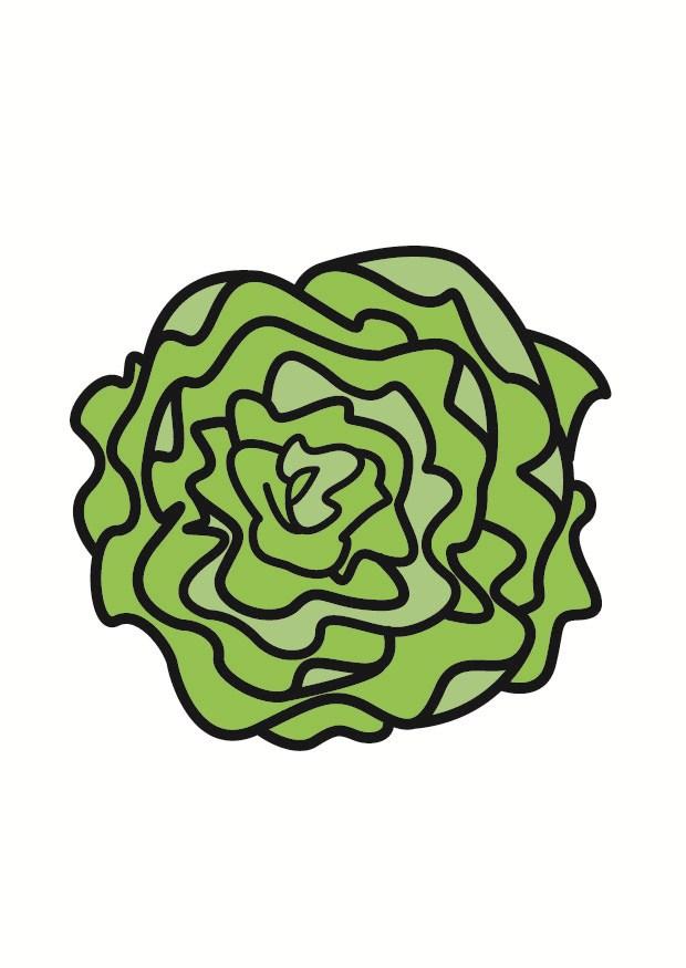 salat Bild salat