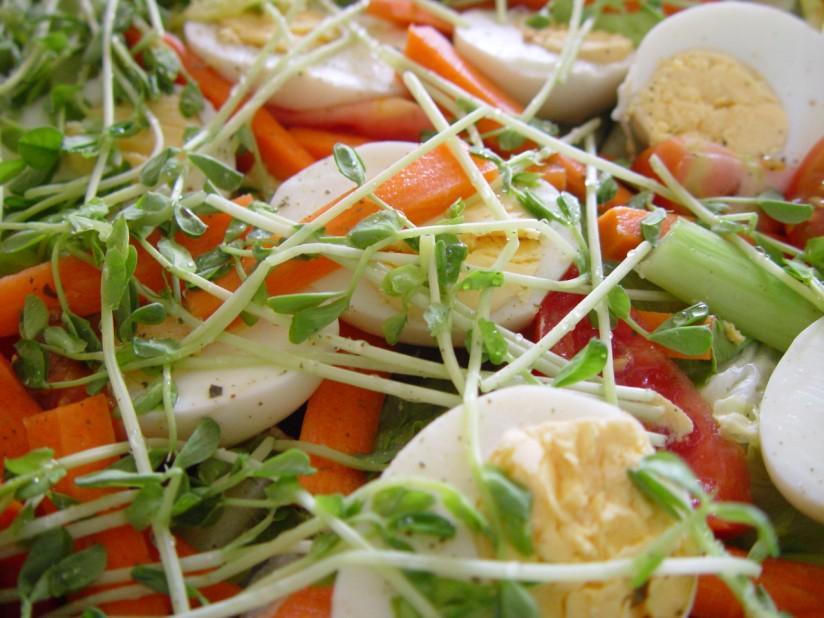 salat Foto salat