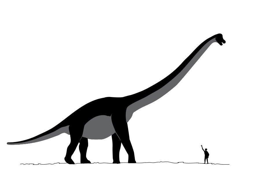 sauroposeidon Malvorlage sauroposeidon