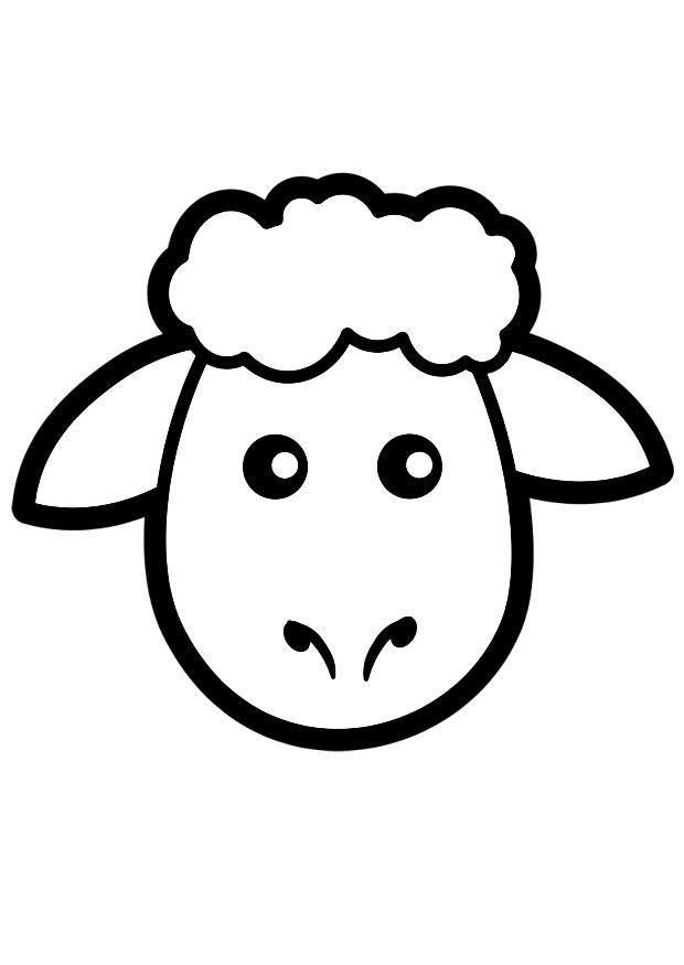 schaf Malvorlage schaf
