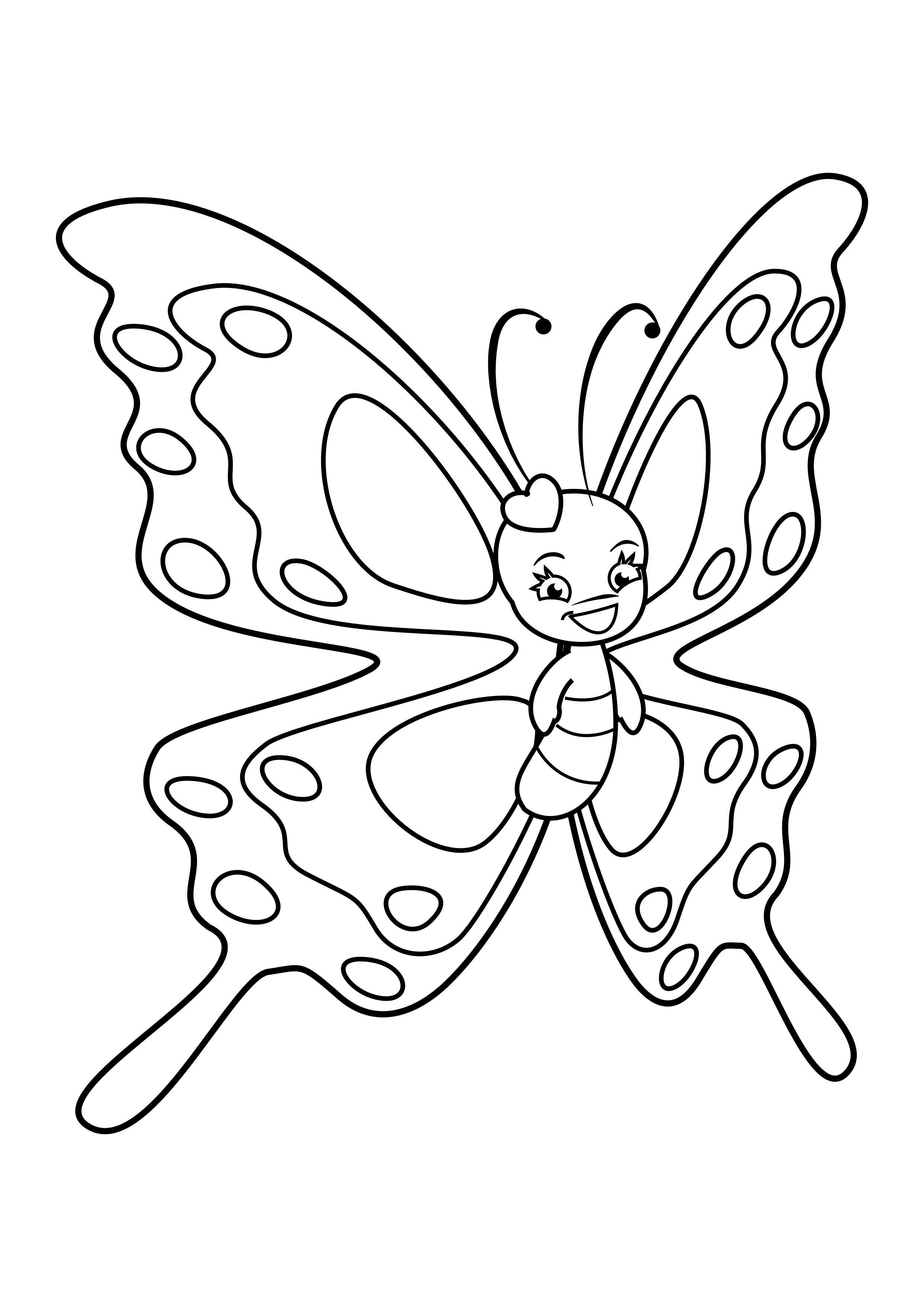 schA¶ner schmetterling Malvorlage schA¶ner schmetterling