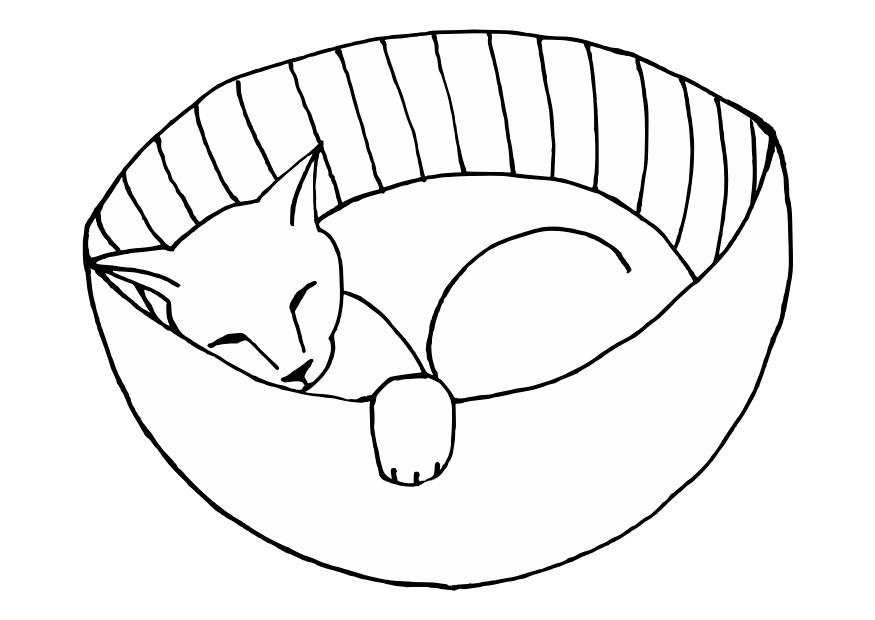 schlafende katze Malvorlage schlafende katze