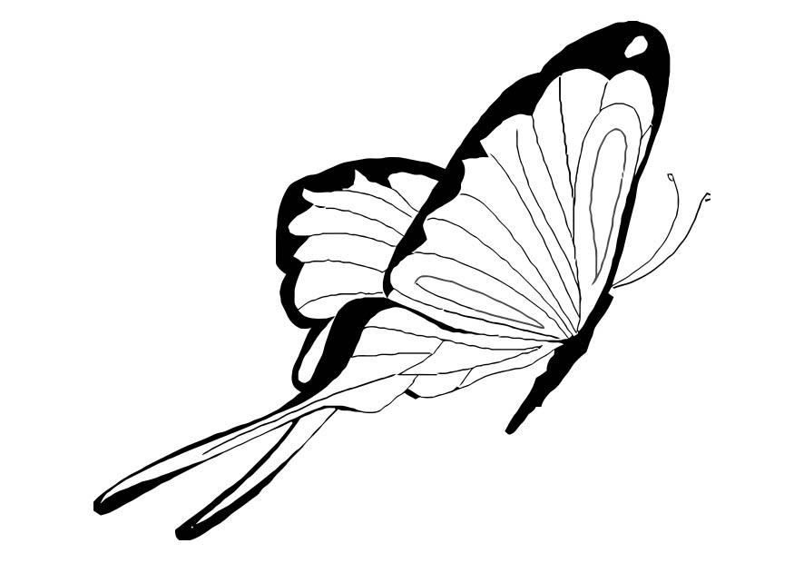 Malvorlage schmetterling