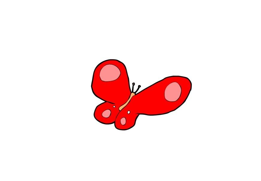 schmetterling Bild schmetterling
