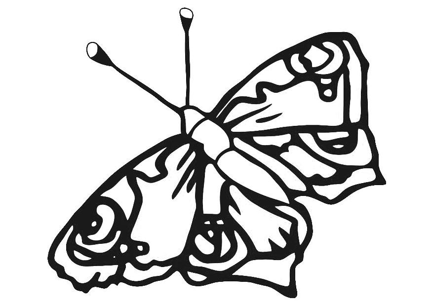 schmetterling Malvorlage schmetterling