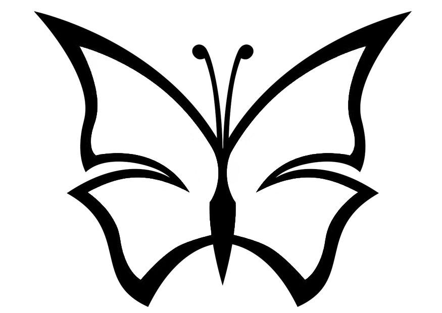 schmetterling Malvorlage schmetterling