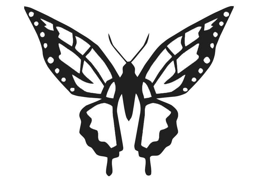 schmetterling Malvorlage schmetterling