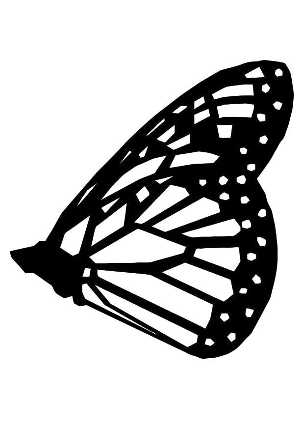 schmetterling Malvorlage schmetterling