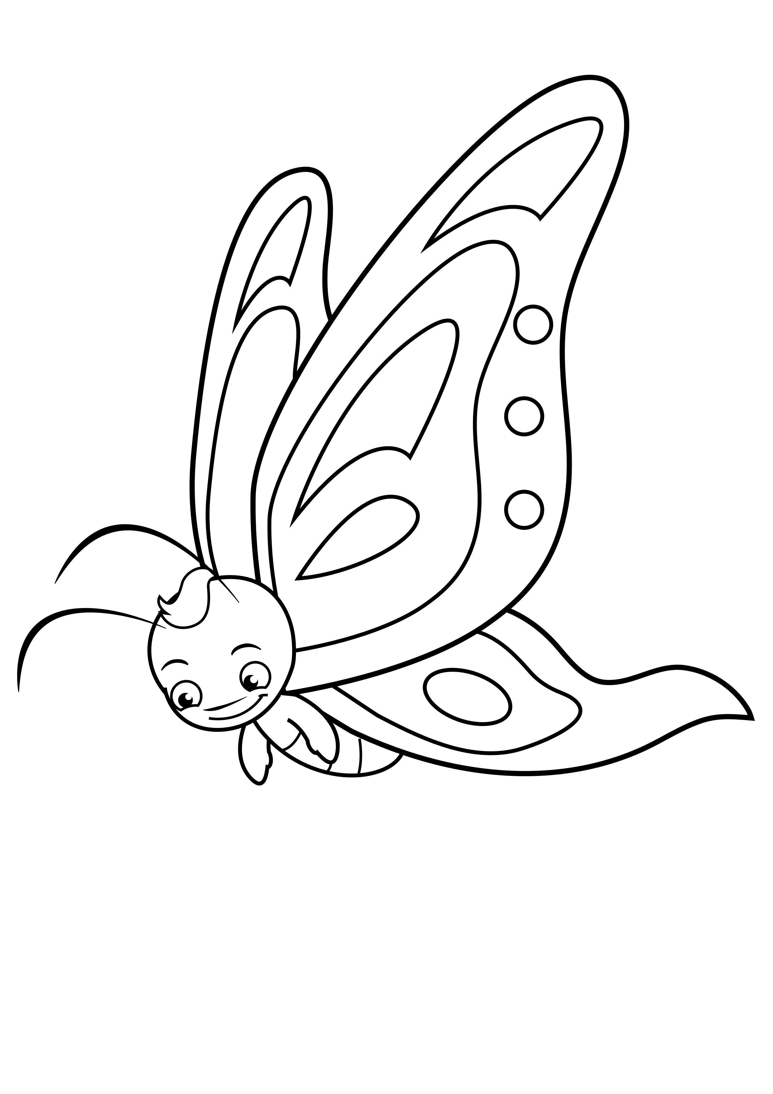 schmetterling Malvorlage schmetterling