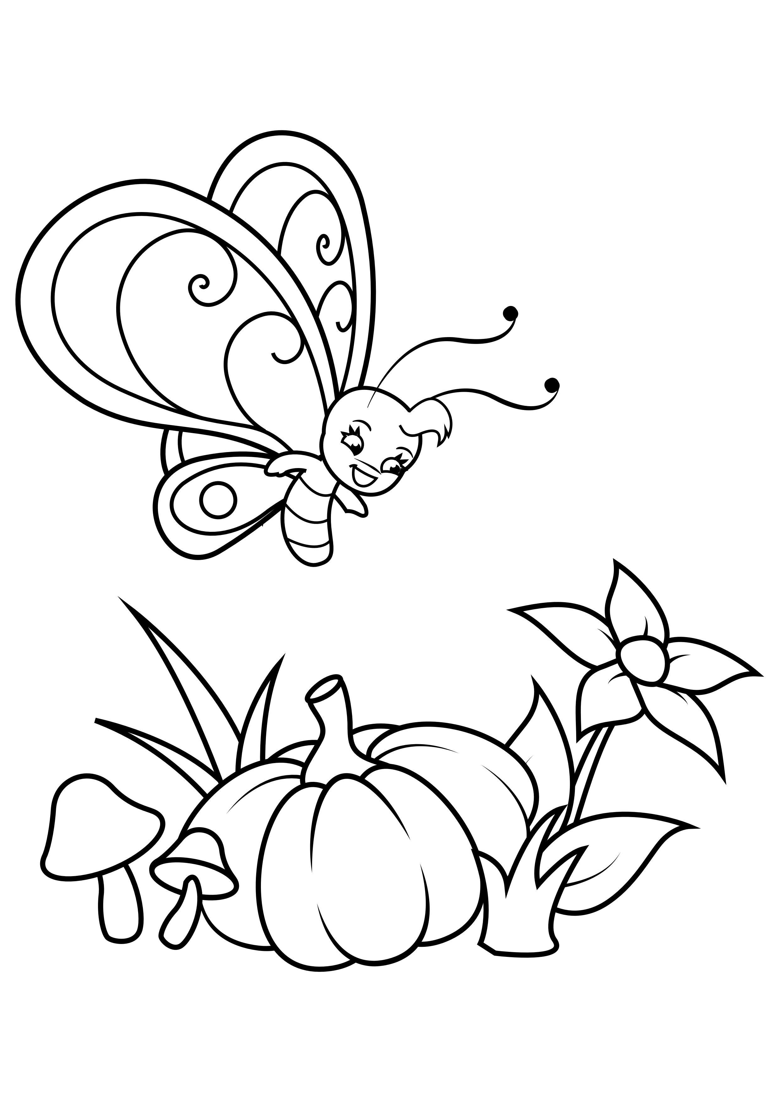 schmetterling A¼ber blume und kA¼rbis Malvorlage schmetterling A¼ber blume und kA¼rbis
