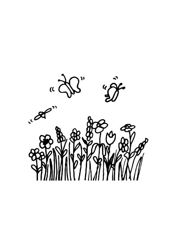 Malvorlage schmetterlinge