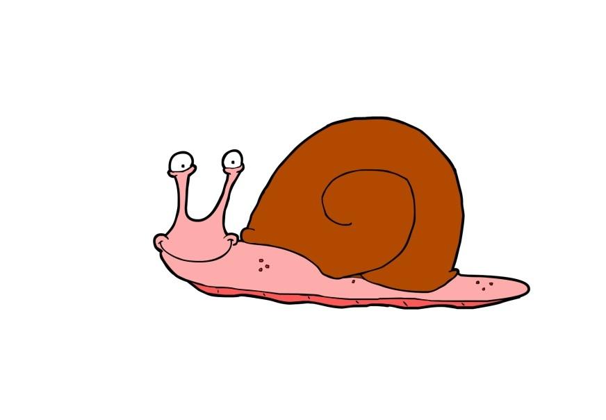 schnecke Bild schnecke