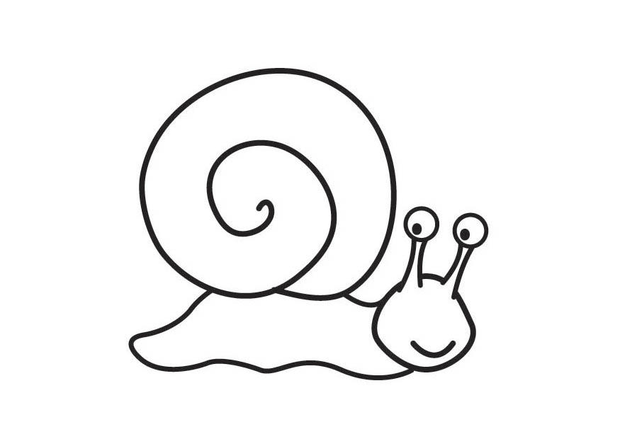 schnecke Malvorlage schnecke