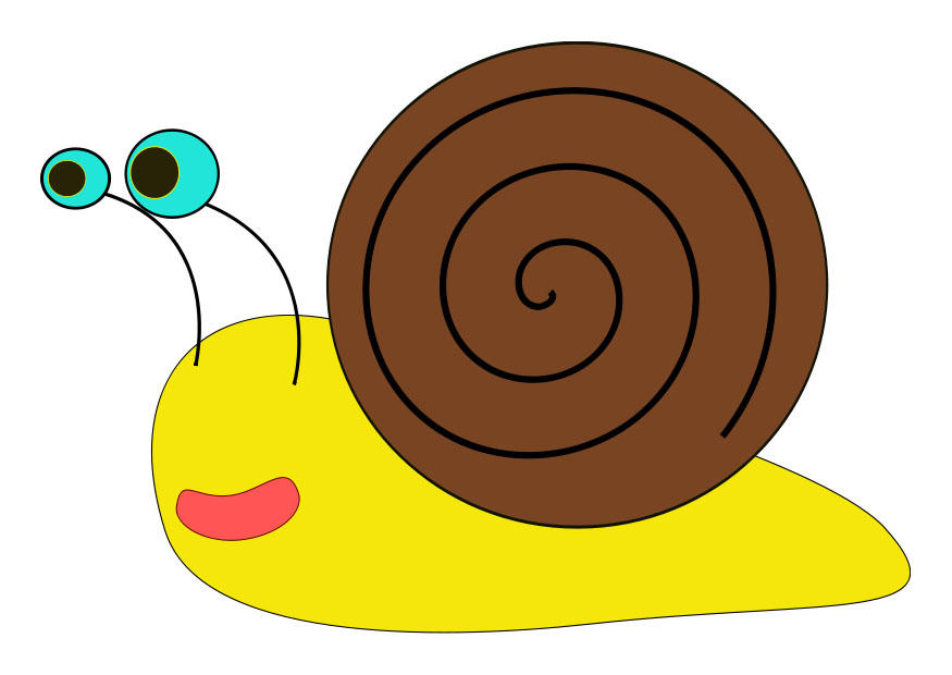 schnecke Bild schnecke