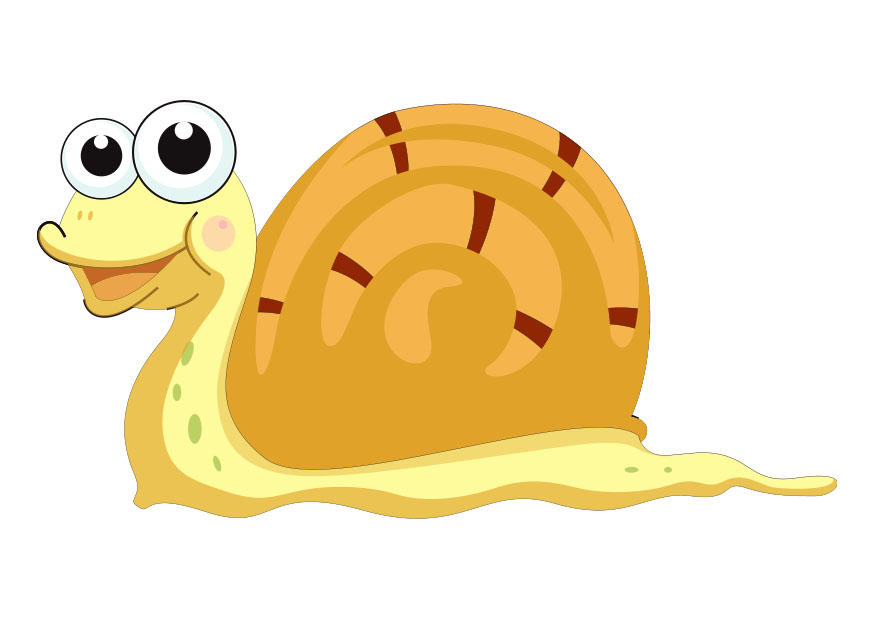 Bild schnecke