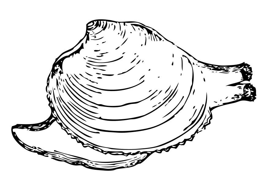 schnecke Malvorlage schnecke