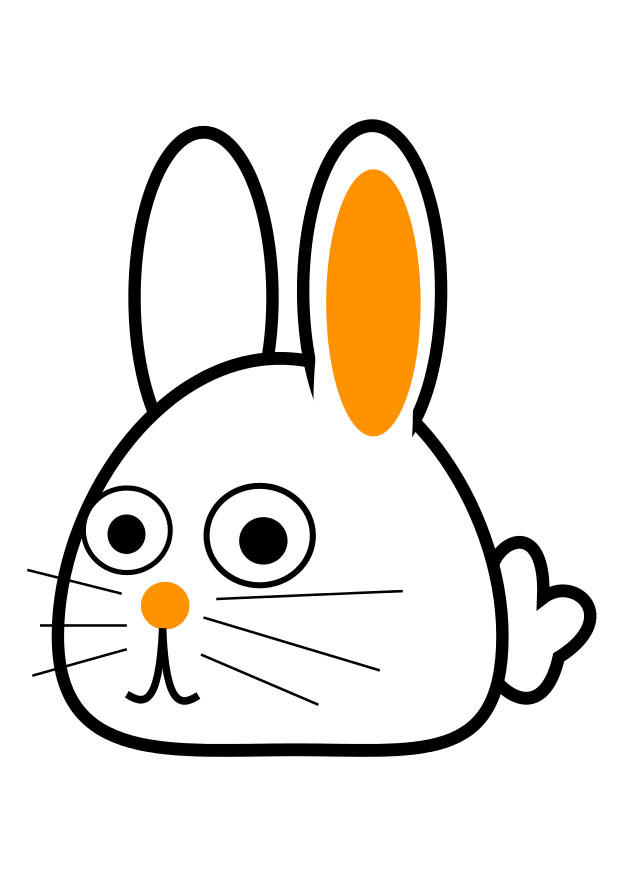 schrA¤gansicht hase Bild schrA¤gansicht hase