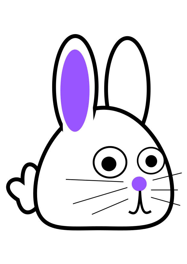 schrA¤gansicht hase Bild schrA¤gansicht hase