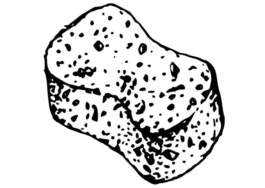 schwamm Malvorlage schwamm