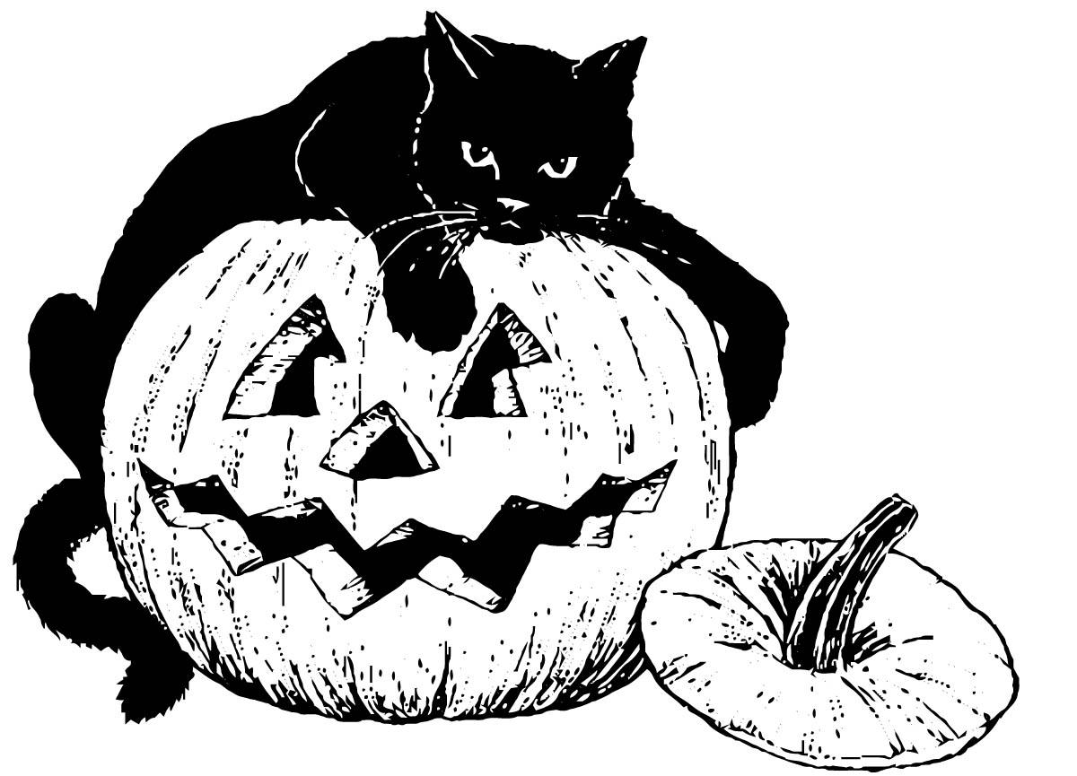 schwarze katze auf kA¼rbis Malvorlage schwarze katze auf kA¼rbis