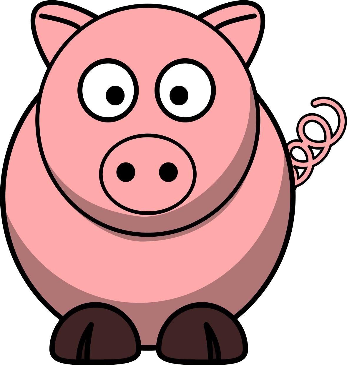Bild schwein