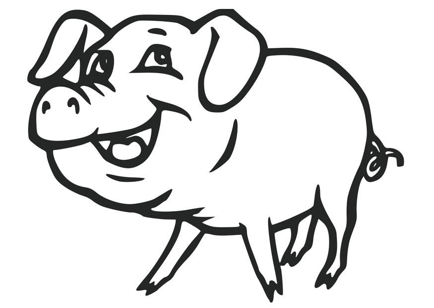 Malvorlage schwein