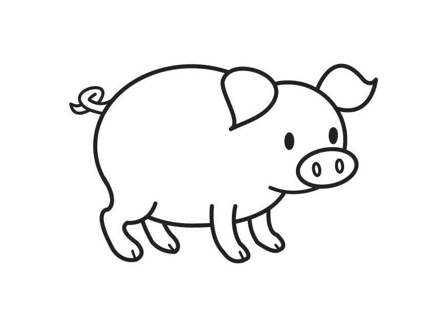 Malvorlage schwein