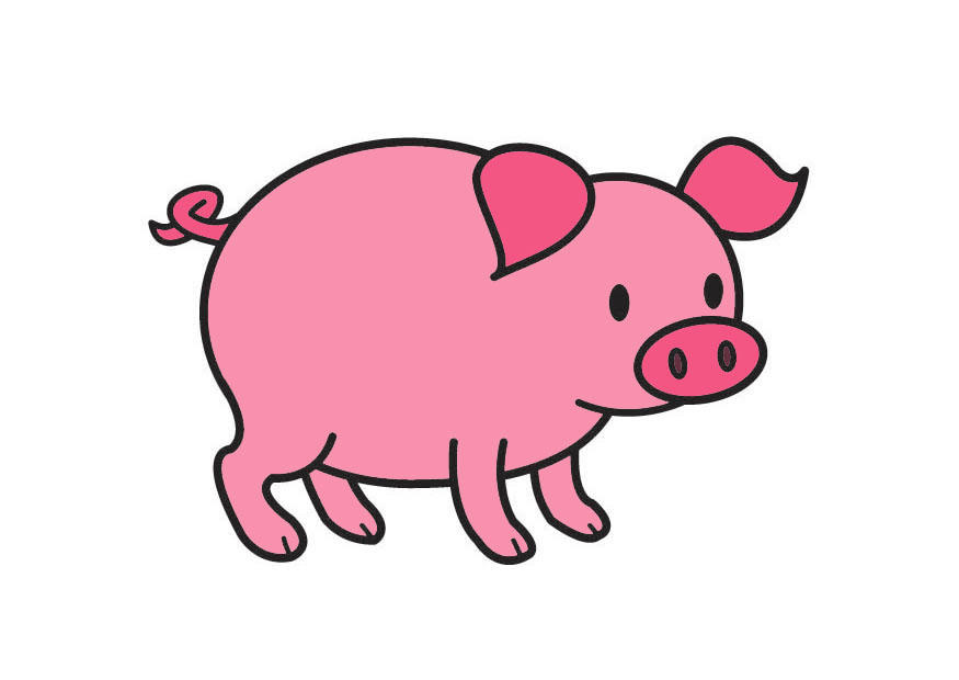 schwein Bild schwein